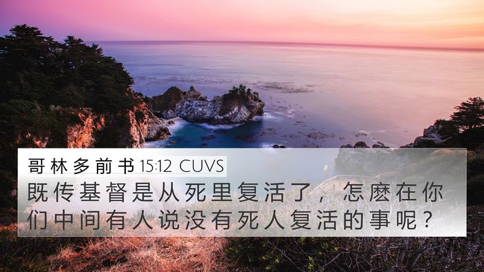 哥 林 多 前 书 15:12 CUVS Bible Verse Image