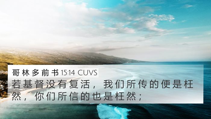 哥 林 多 前 书 15:14 CUVS Bible Verse Image
