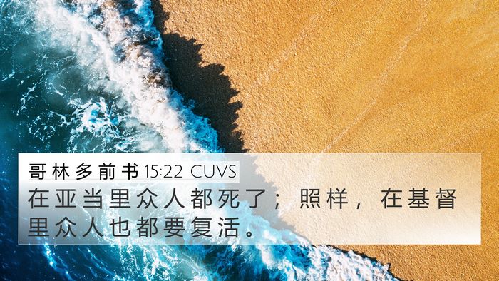 哥 林 多 前 书 15:22 CUVS 4K Wallpaper - 在 亚 当 里 众 人 都 死 了 ； 照 样 - 4K Wallpaper Bible Verse