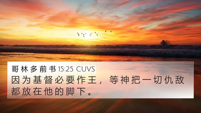 哥 林 多 前 书 15:25 CUVS Bible Verse Image