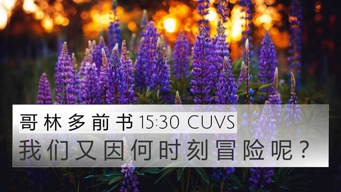 哥 林 多 前 书 15:30 CUVS Bible Verse Image