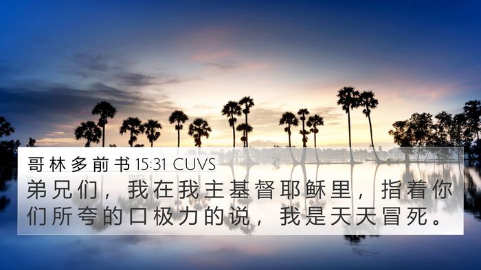 哥 林 多 前 书 15:31 CUVS Bible Verse Image