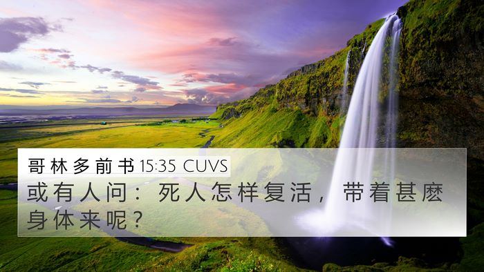 哥 林 多 前 书 15:35 CUVS Bible Verse Image