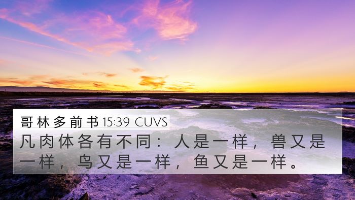 哥 林 多 前 书 15:39 CUVS 4K Wallpaper - 凡 肉 体 各 有 不 同 ： 人 是 一 样 - 4K Wallpaper Bible Verse