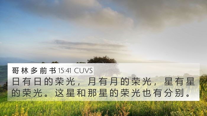 哥 林 多 前 书 15:41 CUVS Bible Verse Image