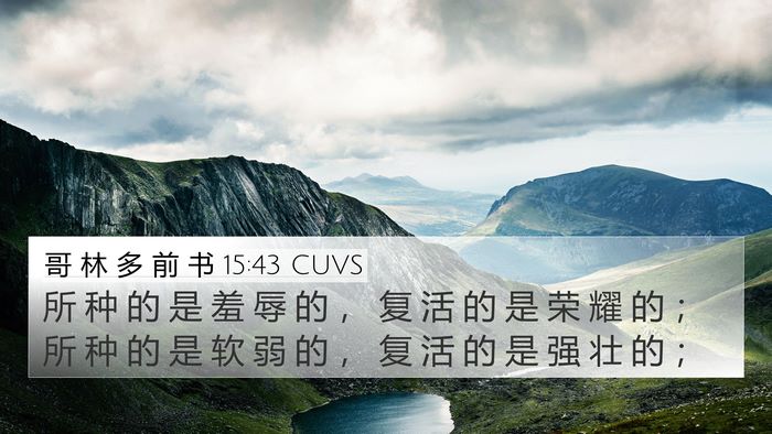 哥 林 多 前 书 15:43 CUVS Bible Verse Image