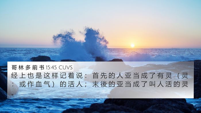 哥 林 多 前 书 15:45 CUVS Bible Verse Image