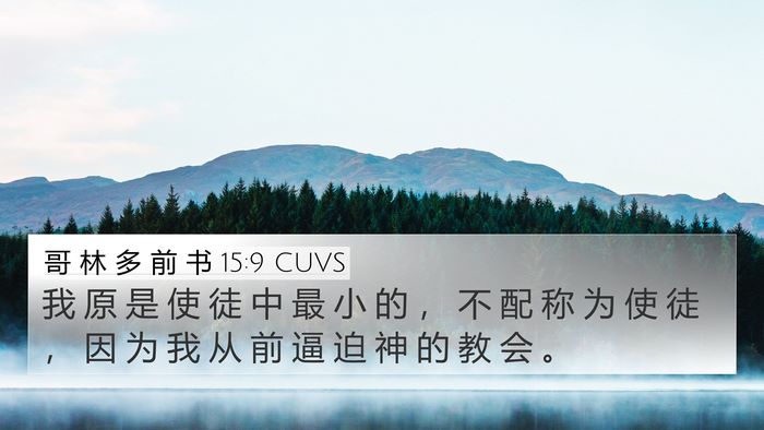 哥 林 多 前 书 15:9 CUVS Bible Verse Image