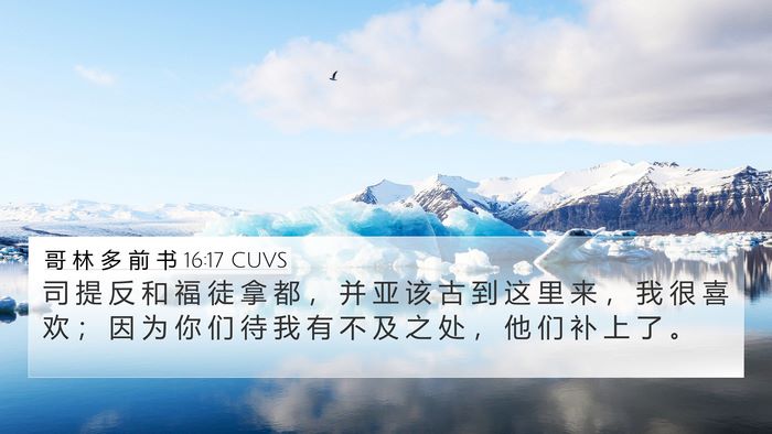 哥 林 多 前 书 16:17 CUVS Bible Verse Image