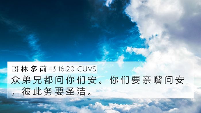 哥 林 多 前 书 16:20 CUVS Bible Verse Image