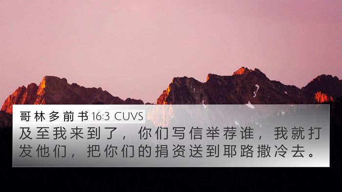 哥 林 多 前 书 16:3 CUVS Bible Verse Image