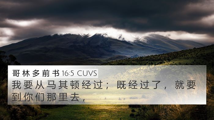 哥 林 多 前 书 16:5 CUVS Bible Verse Image