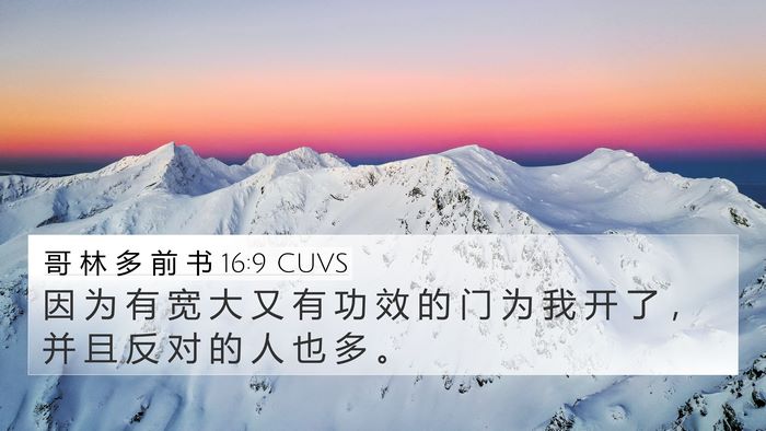 哥 林 多 前 书 16:9 CUVS Bible Verse Image