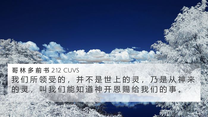 哥 林 多 前 书 2:12 CUVS Bible Verse Image