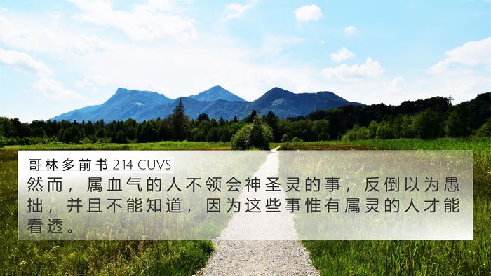 哥 林 多 前 书 2:14 CUVS Bible Verse Image