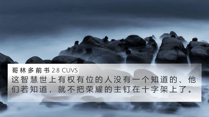 哥 林 多 前 书 2:8 CUVS Bible Verse Image