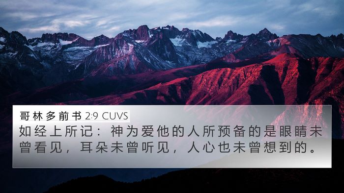 哥 林 多 前 书 2:9 CUVS Bible Verse Image