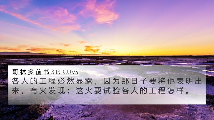 哥 林 多 前 书 3:13 CUVS Bible Verse Image