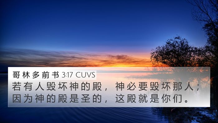 哥 林 多 前 书 3:17 CUVS Bible Verse Image
