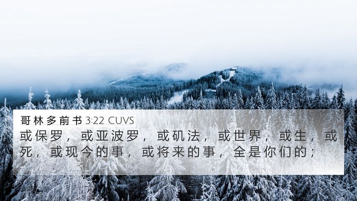 哥 林 多 前 书 3:22 CUVS Bible Verse Image