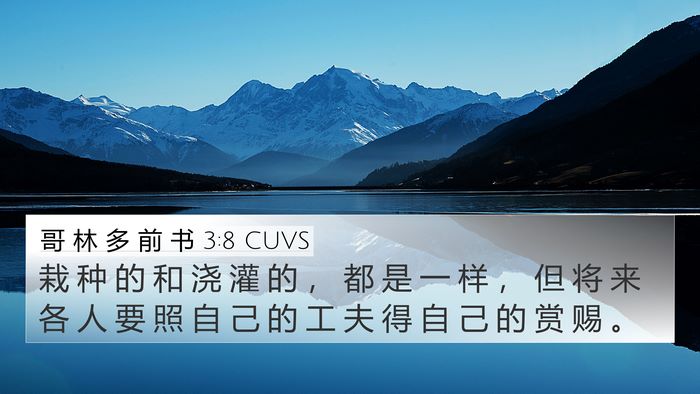 哥 林 多 前 书 3:8 CUVS Bible Verse Image