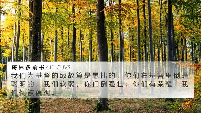 哥 林 多 前 书 4:10 CUVS Bible Verse Image