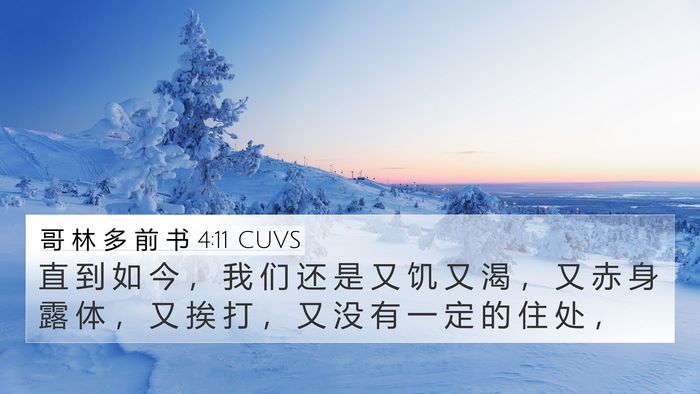 哥 林 多 前 书 4:11 CUVS Bible Verse Image