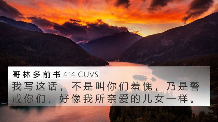 哥 林 多 前 书 4:14 CUVS Bible Verse Image