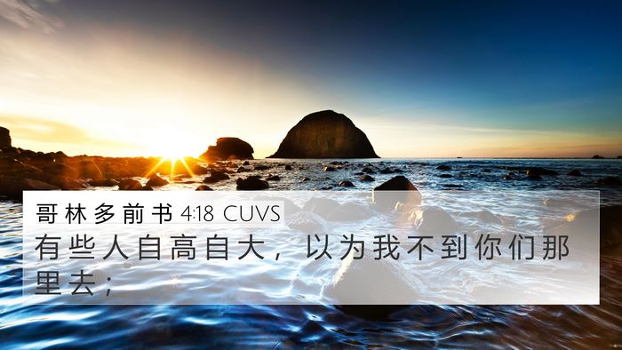 哥 林 多 前 书 4:18 CUVS Bible Verse Image