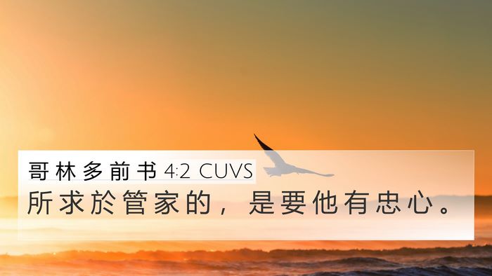 哥 林 多 前 书 4:2 CUVS Bible Verse Image