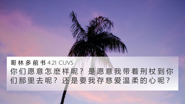哥 林 多 前 书 4:21 CUVS Bible Verse Image