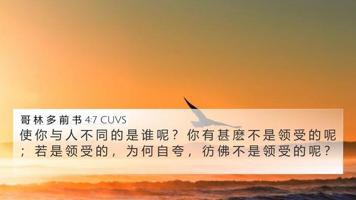 哥 林 多 前 书 4:7 CUVS Bible Verse Image