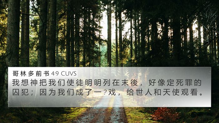 哥 林 多 前 书 4:9 CUVS Bible Verse Image