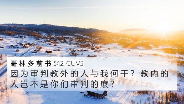 哥 林 多 前 书 5:12 CUVS Bible Verse Image