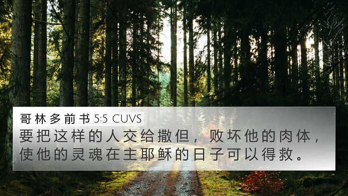 哥 林 多 前 书 5:5 CUVS Bible Verse Image