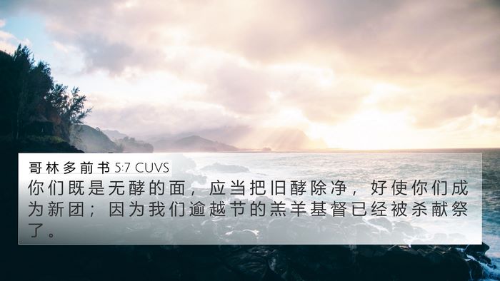 哥 林 多 前 书 5:7 CUVS Bible Verse Image