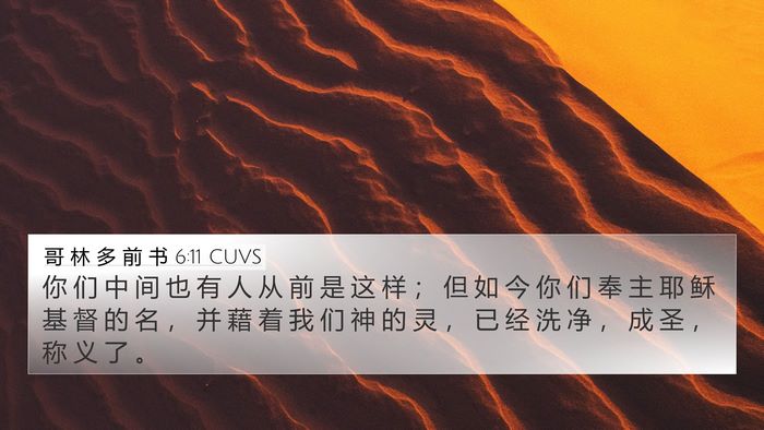 哥 林 多 前 书 6:11 CUVS Bible Verse Image