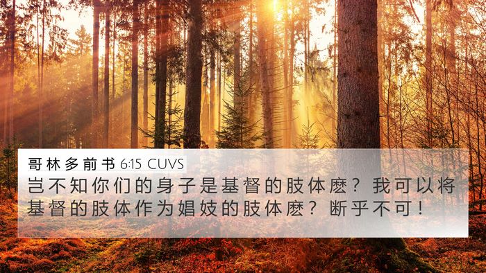 哥 林 多 前 书 6:15 CUVS Bible Verse Image