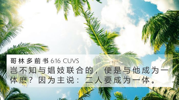 哥 林 多 前 书 6:16 CUVS Bible Verse Image