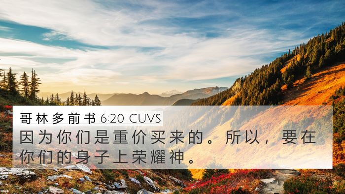 哥 林 多 前 书 6:20 CUVS Bible Verse Image