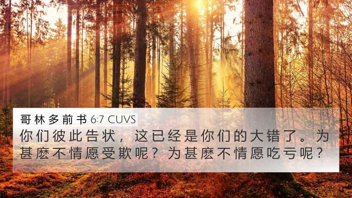 哥 林 多 前 书 6:7 CUVS Bible Verse Image
