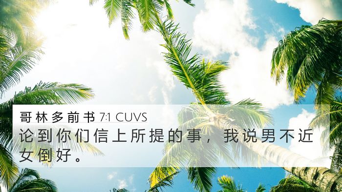 哥 林 多 前 书 7:1 CUVS Bible Verse Image