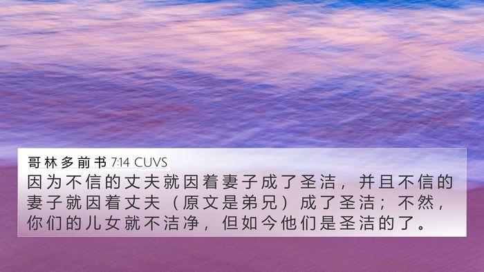 哥 林 多 前 书 7:14 CUVS Bible Verse Image
