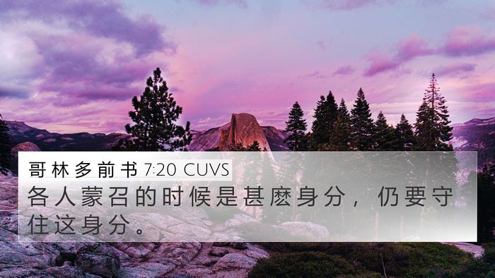 哥 林 多 前 书 7:20 CUVS Bible Verse Image