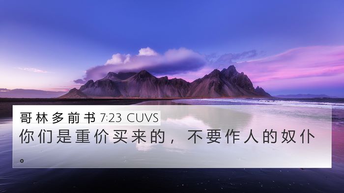 哥 林 多 前 书 7:23 CUVS Bible Verse Image