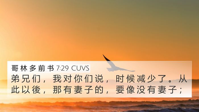 哥 林 多 前 书 7:29 CUVS Bible Verse Image