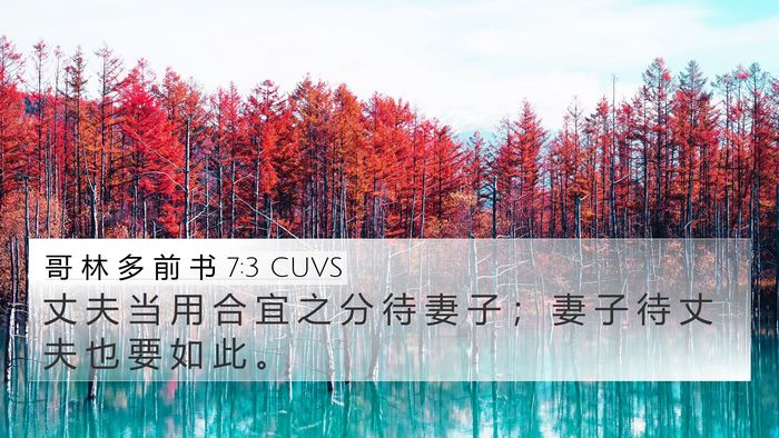 哥 林 多 前 书 7:3 CUVS 4K Wallpaper - 丈 夫 当 用 合 宜 之 分 待 妻 子 ； - 4K Wallpaper Bible Verse