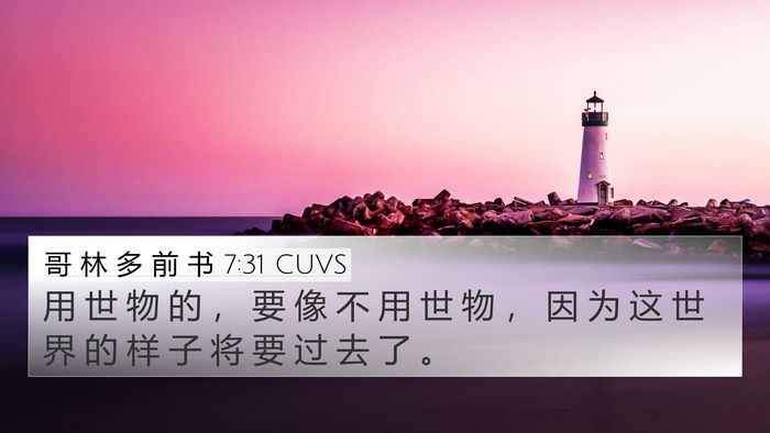 哥 林 多 前 书 7:31 CUVS Bible Verse Image