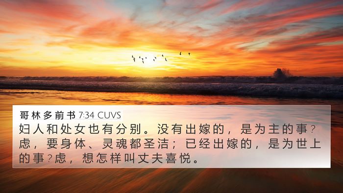 哥 林 多 前 书 7:34 CUVS Bible Verse Image