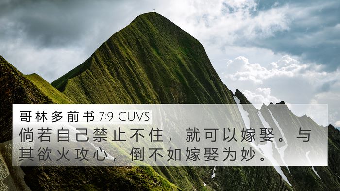哥 林 多 前 书 7:9 CUVS Bible Verse Image
